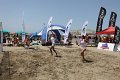 Fregene 8410267